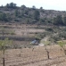 Pinoso property: Pinoso Land, Spain 41741