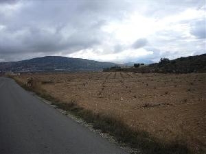 Pinoso property: Land in Alicante for sale 41742