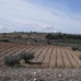 Pinoso property:  Land in Alicante 41742