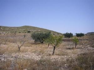 Torre Del Rico property: Land with bedroom in Torre Del Rico, Spain 41757