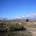 Pinoso property: Land in Pinoso 41758