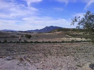 Jumilla property: House with 3 bedroom in Jumilla 41759