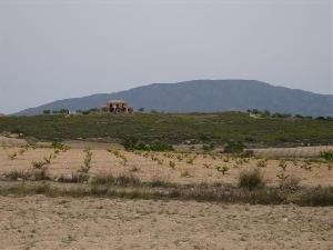 Pinoso property: Land for sale in Pinoso 41764