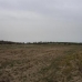 Pinoso property: Alicante Land, Spain 41764