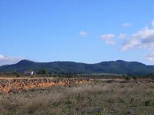 Pinoso property: Land for sale in Pinoso 41765