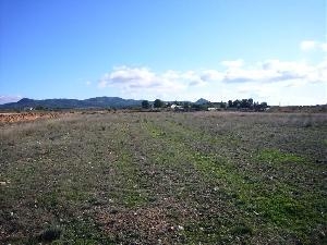 Pinoso property: Alicante property | bedroom Land 41765