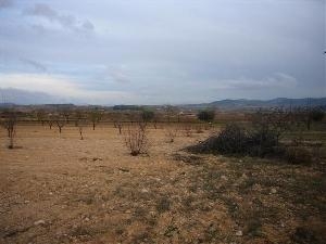 Pinoso property: Land for sale in Pinoso, Spain 41766