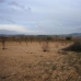 Pinoso property: Pinoso, Spain Land 41766