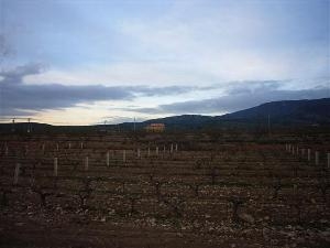 Pinoso property: Land with bedroom in Pinoso 41767