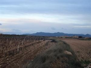 Pinoso property: Land with bedroom in Pinoso, Spain 41767