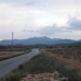 Pinoso property: Pinoso Land, Spain 41767