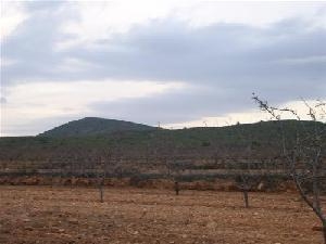 Pinoso property: Land in Alicante for sale 41768