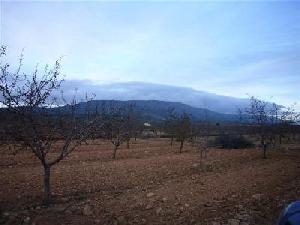 Pinoso property: Alicante property | bedroom Land 41768