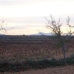 Pinoso property: Pinoso, Spain Land 41768