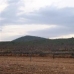 Pinoso property: Land in Pinoso 41768