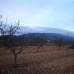 Pinoso property: Pinoso Land, Spain 41768