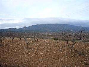 Pinoso property: Land for sale in Pinoso 41769