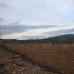 Pinoso property: bedroom Land in Pinoso, Spain 41769