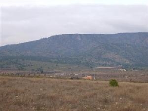 Pinoso property: Land for sale in Pinoso 41770