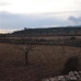 Pinoso property: bedroom Land in Pinoso, Spain 41770