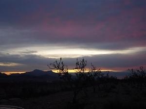 Jumilla property: Land for sale in Jumilla 41771