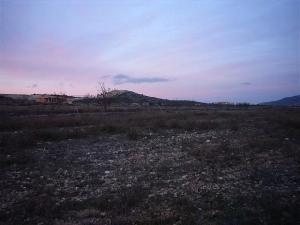 Jumilla property: Land for sale in Jumilla, Murcia 41771