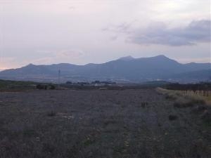 Pinoso property: Land for sale in Pinoso 41775