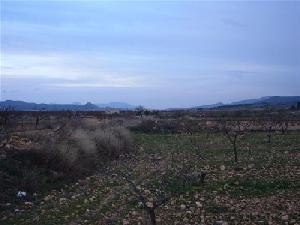 Pinoso property: Land for sale in Pinoso, Spain 41775