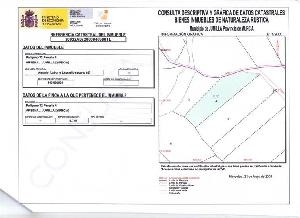 Torre Del Rico property: Land for sale in Torre Del Rico 41786