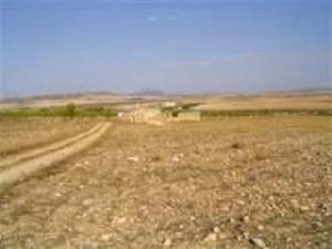 Yecla property: Land for sale in Yecla 41804