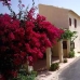 La Canalosa property: Alicante, Spain House 41827