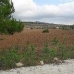 La Canalosa property: Alicante, Spain Land 41861