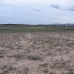 Pinoso property: Land in Pinoso 41870