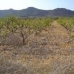 Yecla property: bedroom Land in Murcia 41878