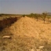 Pinoso property: Pinoso, Spain Land 41880