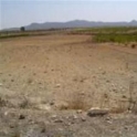 Pinoso property: Land for sale in Pinoso 41881