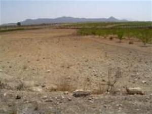 Pinoso property: Land for sale in Pinoso 41881