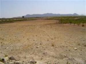 Pinoso property: Land for sale in Pinoso, Spain 41881