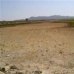 Pinoso property: Pinoso, Spain Land 41881