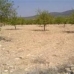 Pinoso property: Alicante, Spain Land 41882