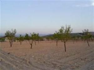 Pinoso property: Land with bedroom in Pinoso, Spain 41884