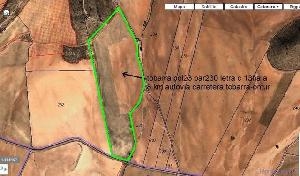 Jumilla property: Land for sale in Jumilla 41890