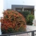 San Miguel De Salinas property: Alicante Apartment, Spain 41892