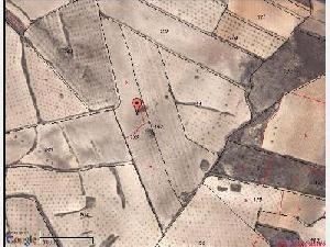 Jumilla property: Land for sale in Jumilla, Spain 41897