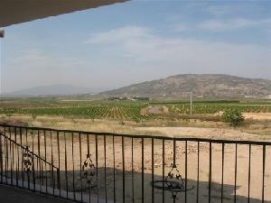 Pinoso property: Villa for sale in Pinoso, Spain 41903