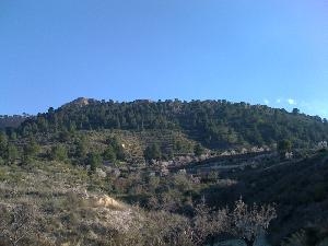 Jumilla property: Land for sale in Jumilla 41910