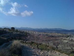 Jumilla property: Land with bedroom in Jumilla 41910