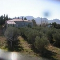 Jumilla property: Villa for sale in Jumilla 41967