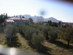 Jumilla property: Villa for sale in Jumilla 41967