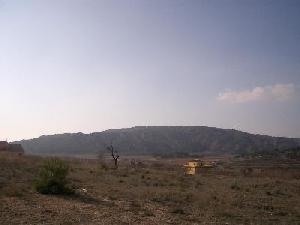 Pinoso property: Land for sale in Pinoso, Spain 41971